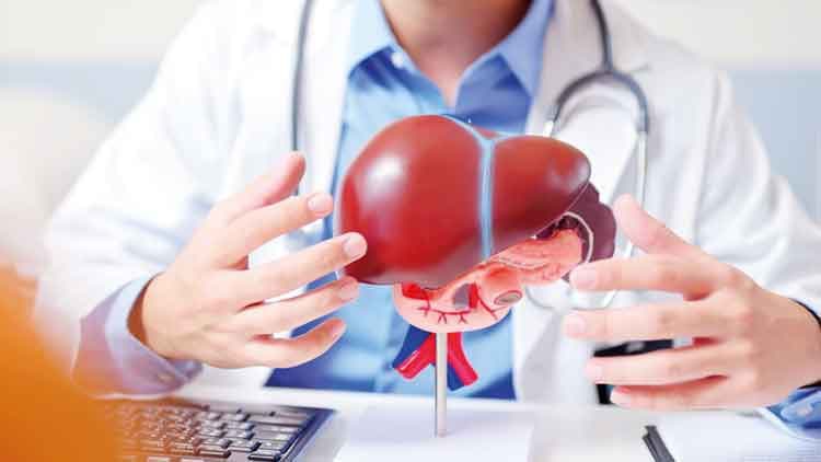 21. Yüzyılın Sessiz Pandemisi: 2050 Projeksiyonunda 1.8 Milyar İnsan Karaciğer İstilası Altında!